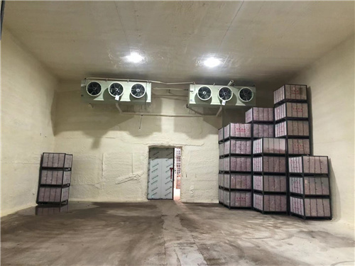 乐动平台苹果冷库安装案例 乐动平台苹果冷库安装案例